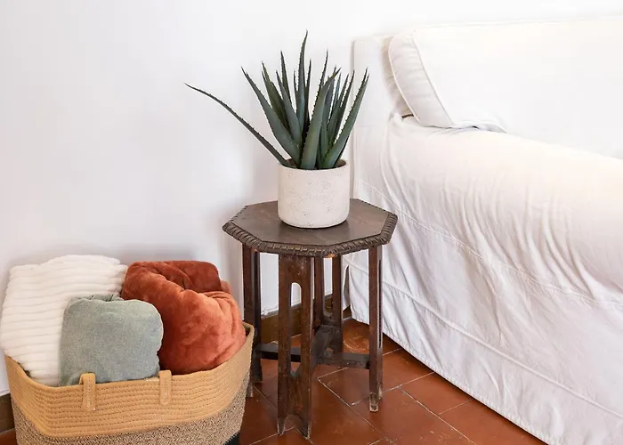 Barchetta Loft